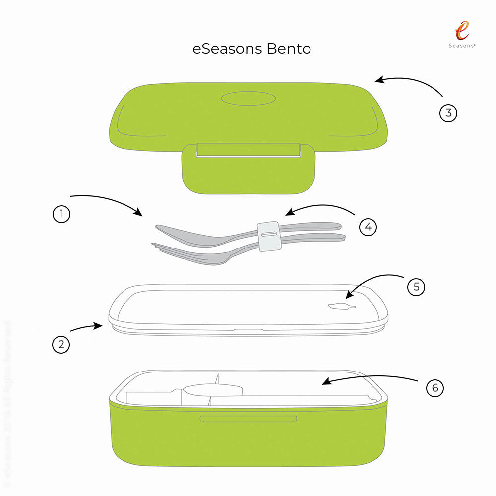 eSeasons Bento Vesperbox 5 Fächer Grün, Detailansicht aller Komponenten inklusive des Edelstahlbestecks