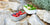Elegantes Lebensmittelfoto: eSeasons Bento Vesperbox warmes Grau appetitliches Essen aus Erdbeeren, Salat, auf rauem Gestein