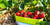 eSeasons Bento Vesperbox: ein bisschen Luxus muss sein, frisch gepflückte Erdbeeren direkt von den Feldern